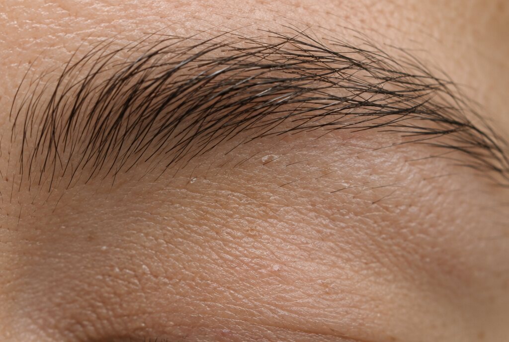 Close-up of eyebrow hairs and the skin beneath them